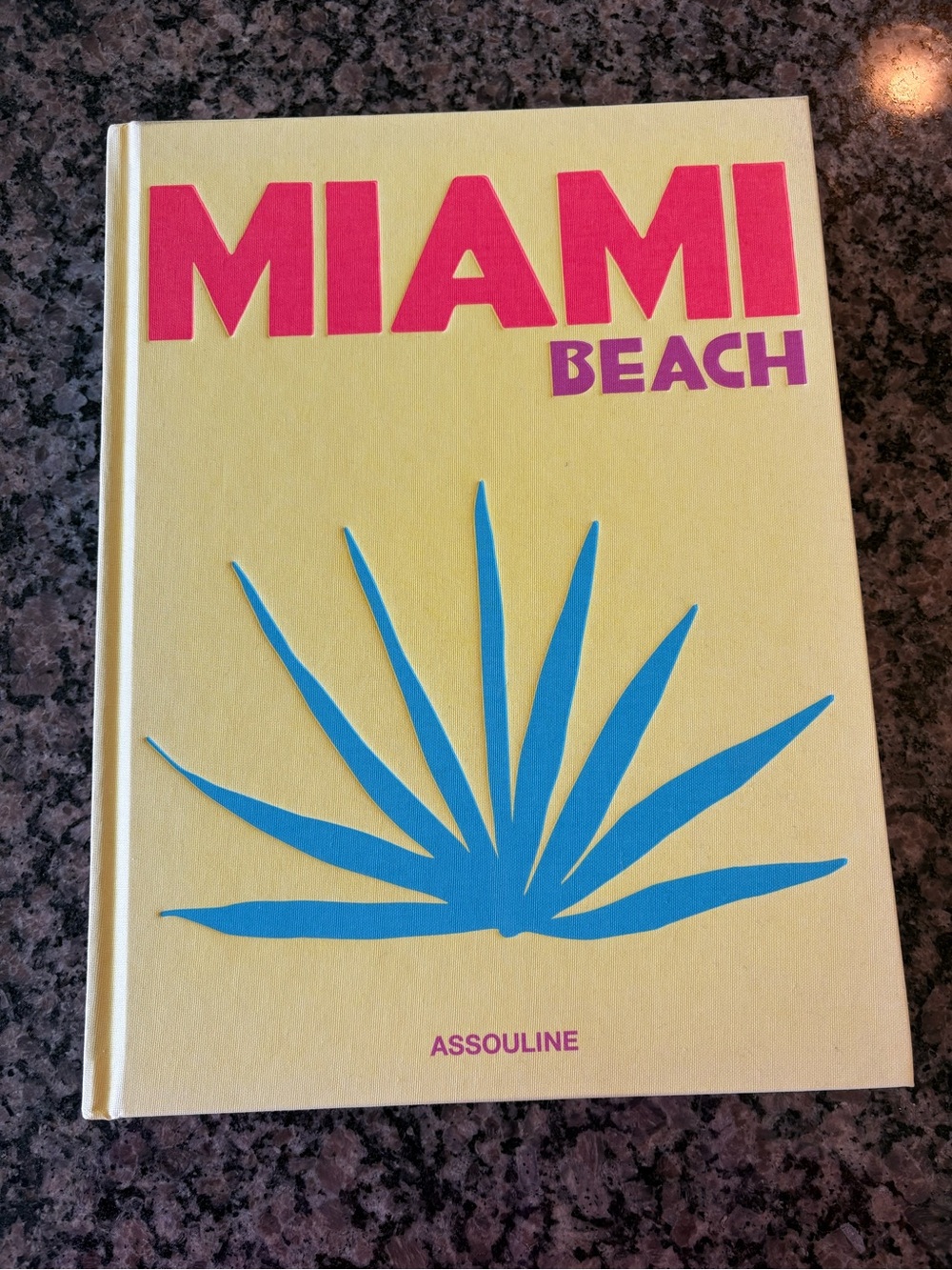 Assouline Miami Beach Hardcover Book - Yellow, Pink & Blue